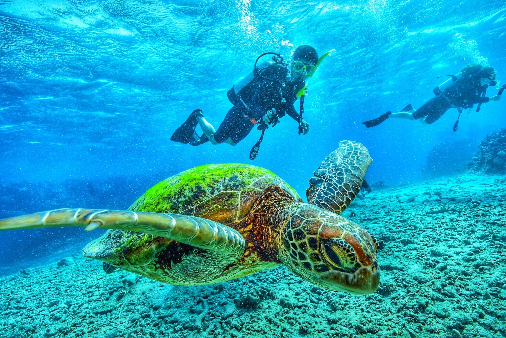 10 DAYS ( CAIRO -LUXOR -MARSA ALAM )
